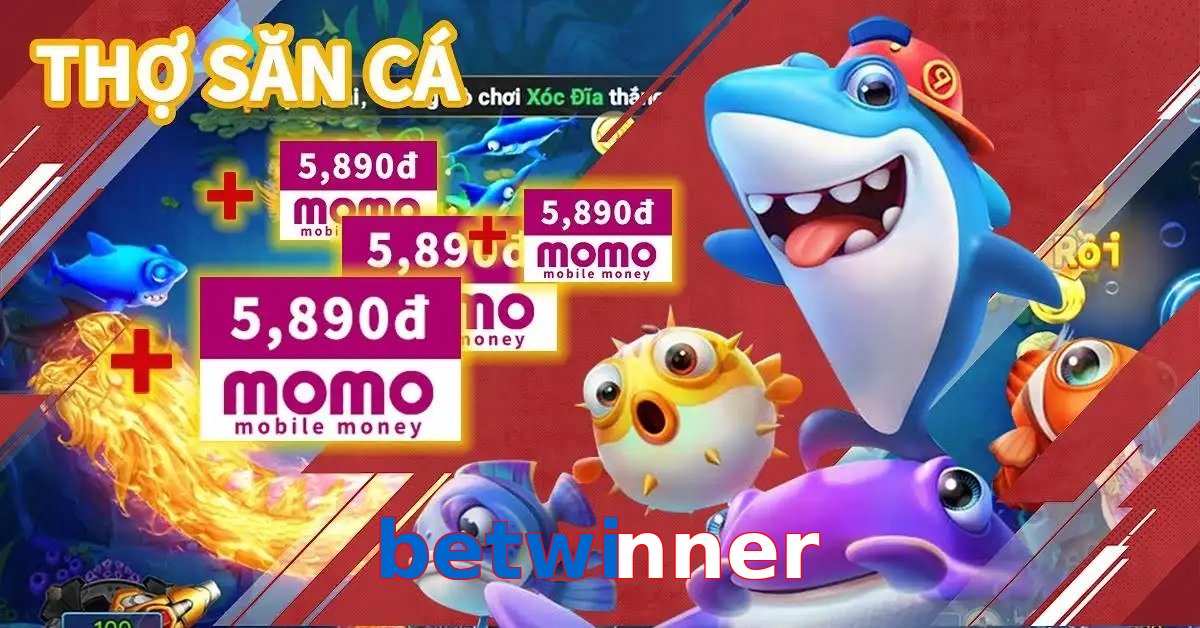 betwinner