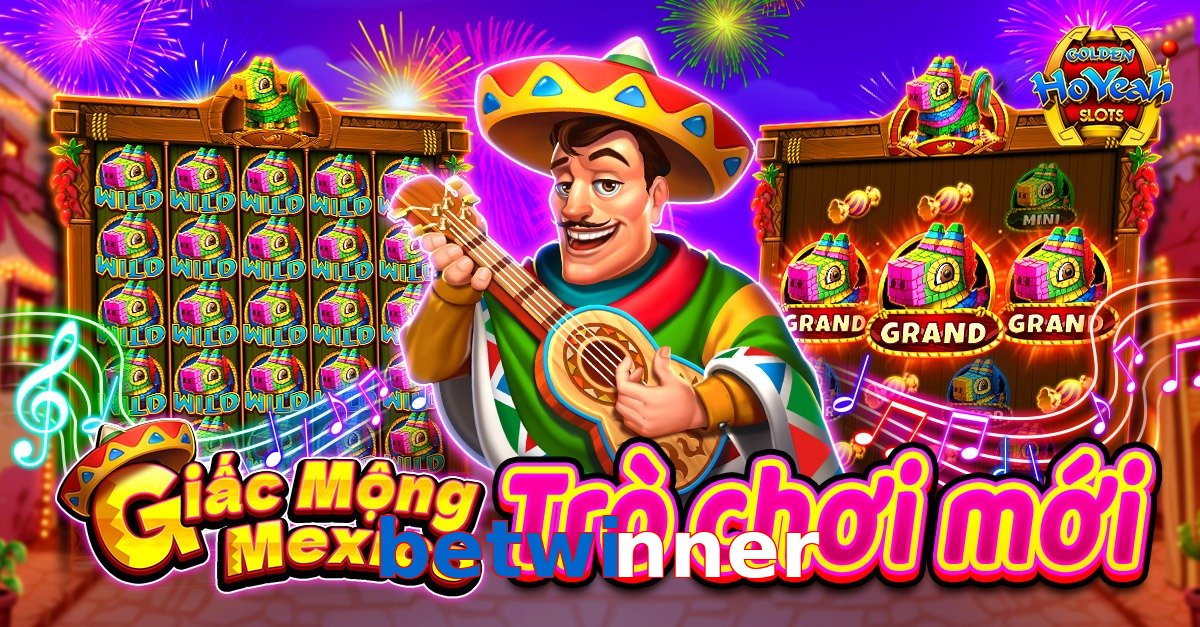betwinner